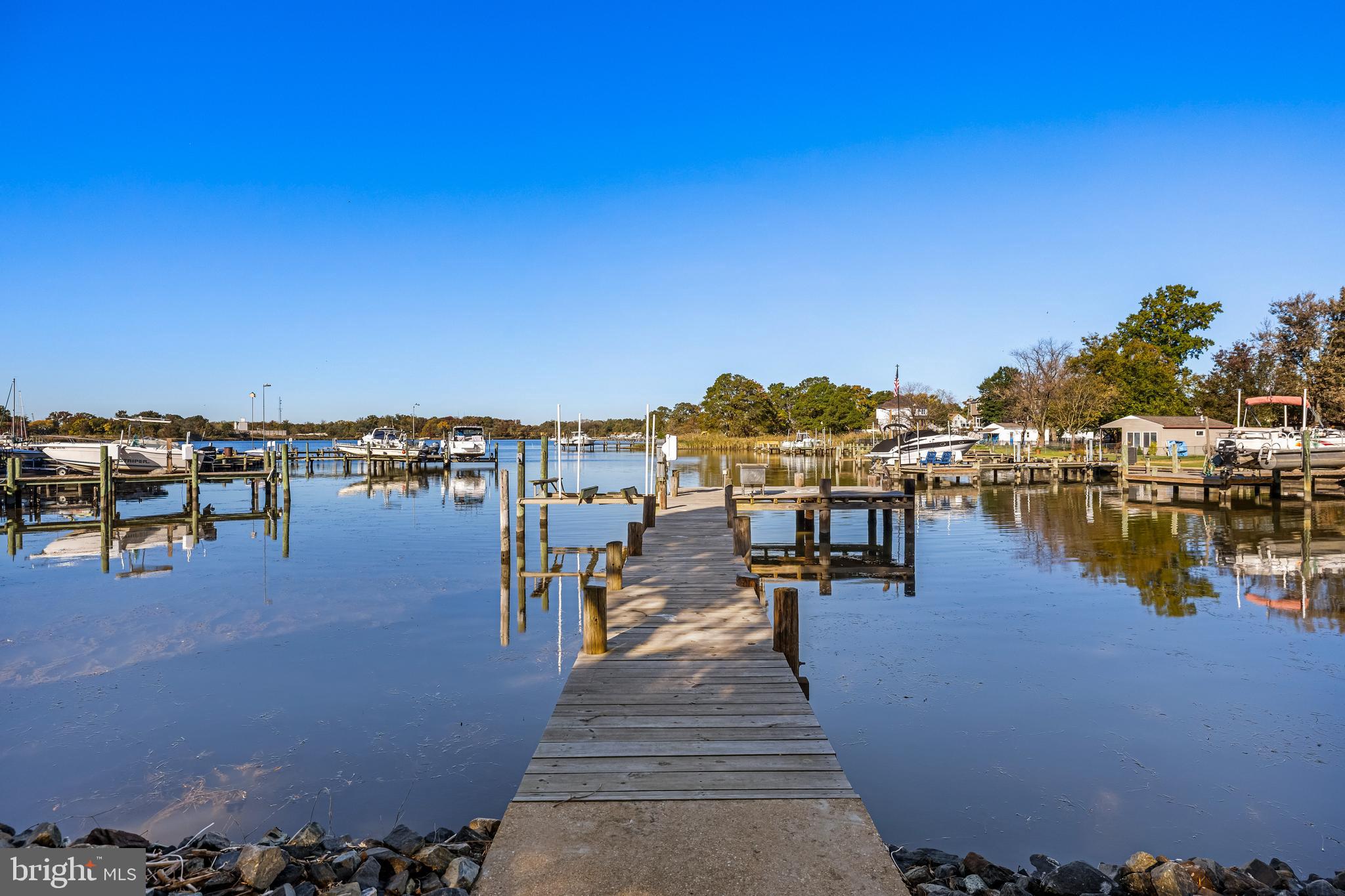 a view of a lake with boats and trees in the background