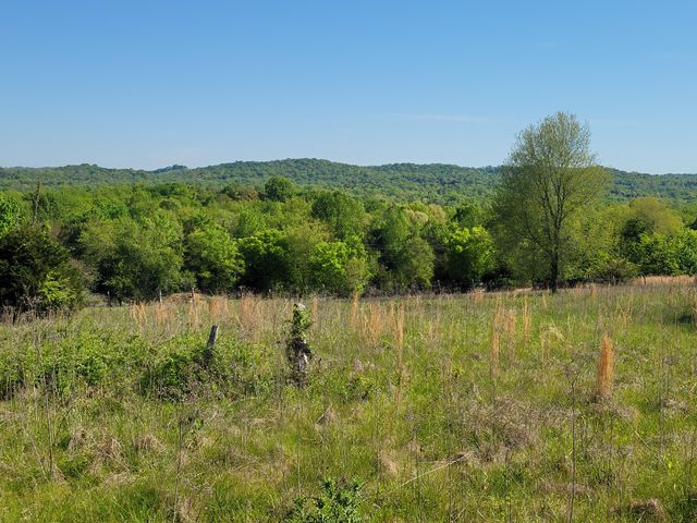 $55,000 | 0 Campbellsville Road