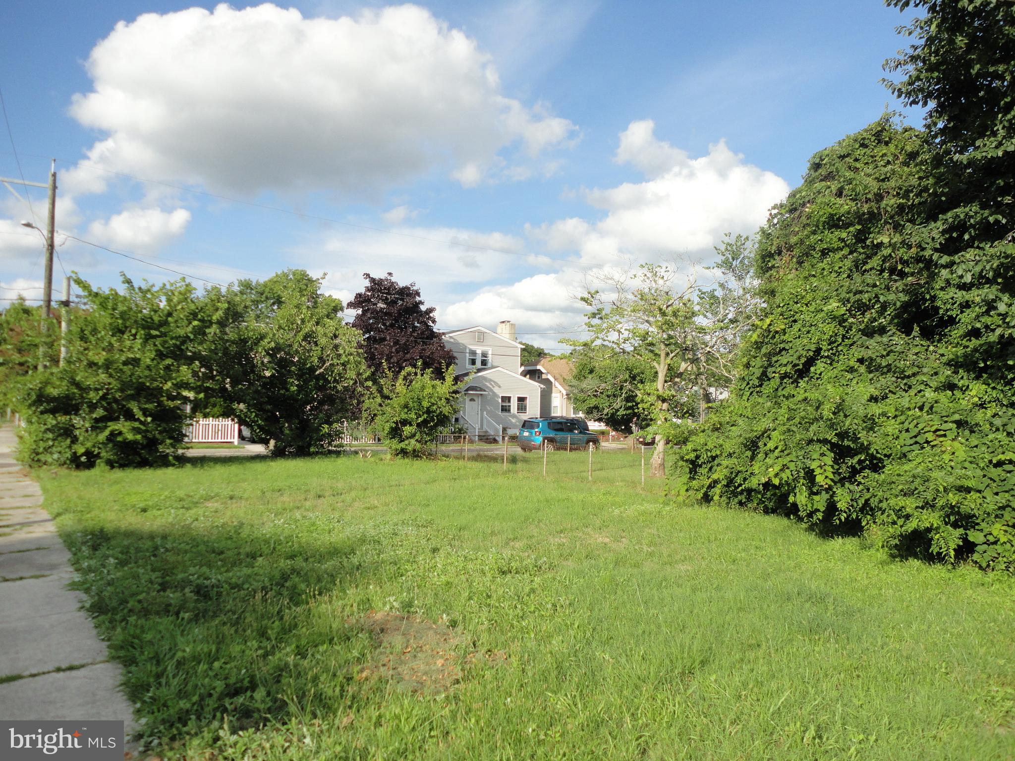 a view of a big yard with plants and large trees