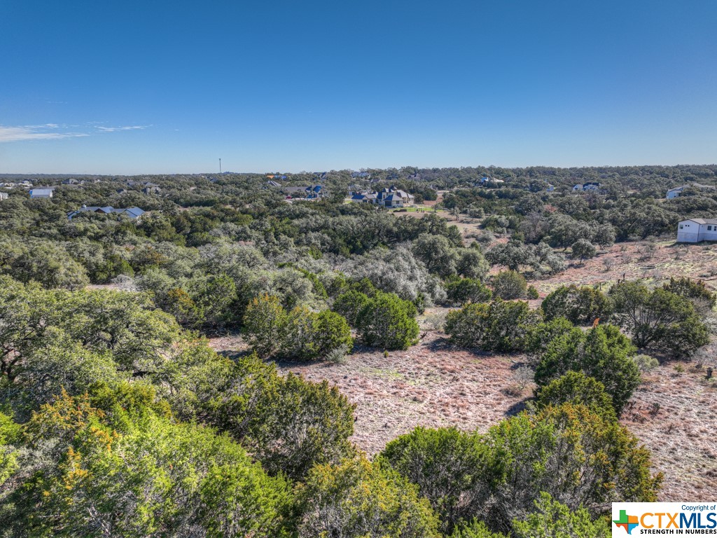 an aerial view of houses covered with trees