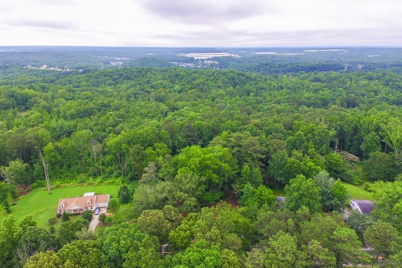 a view of a lush green outdoor space with a lake view