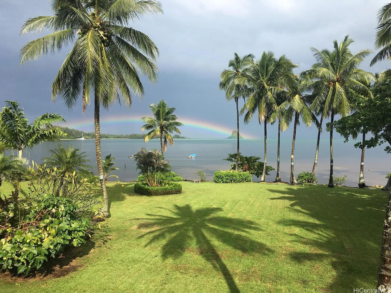 a view of three palm trees