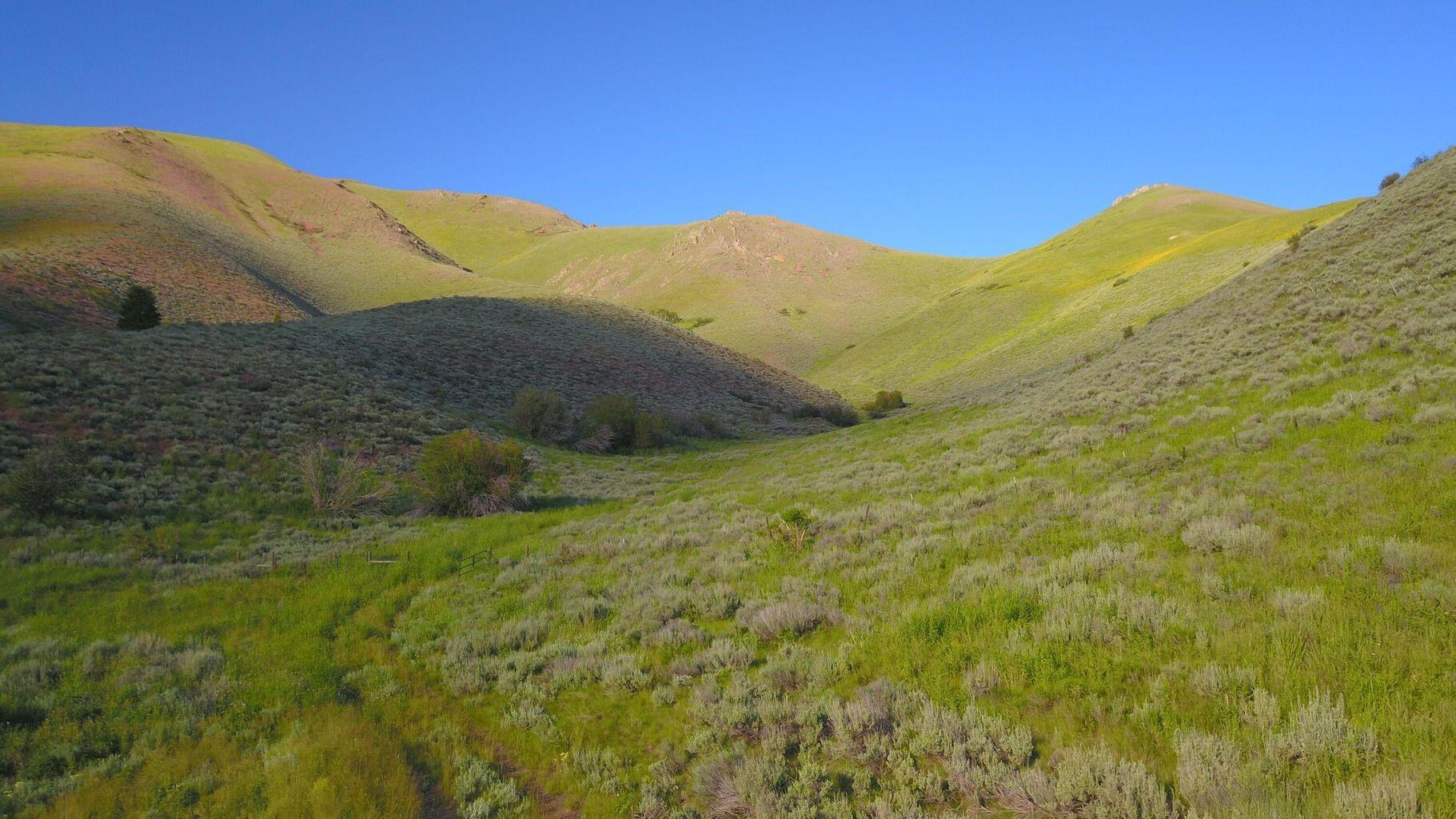 Surrounded by open land