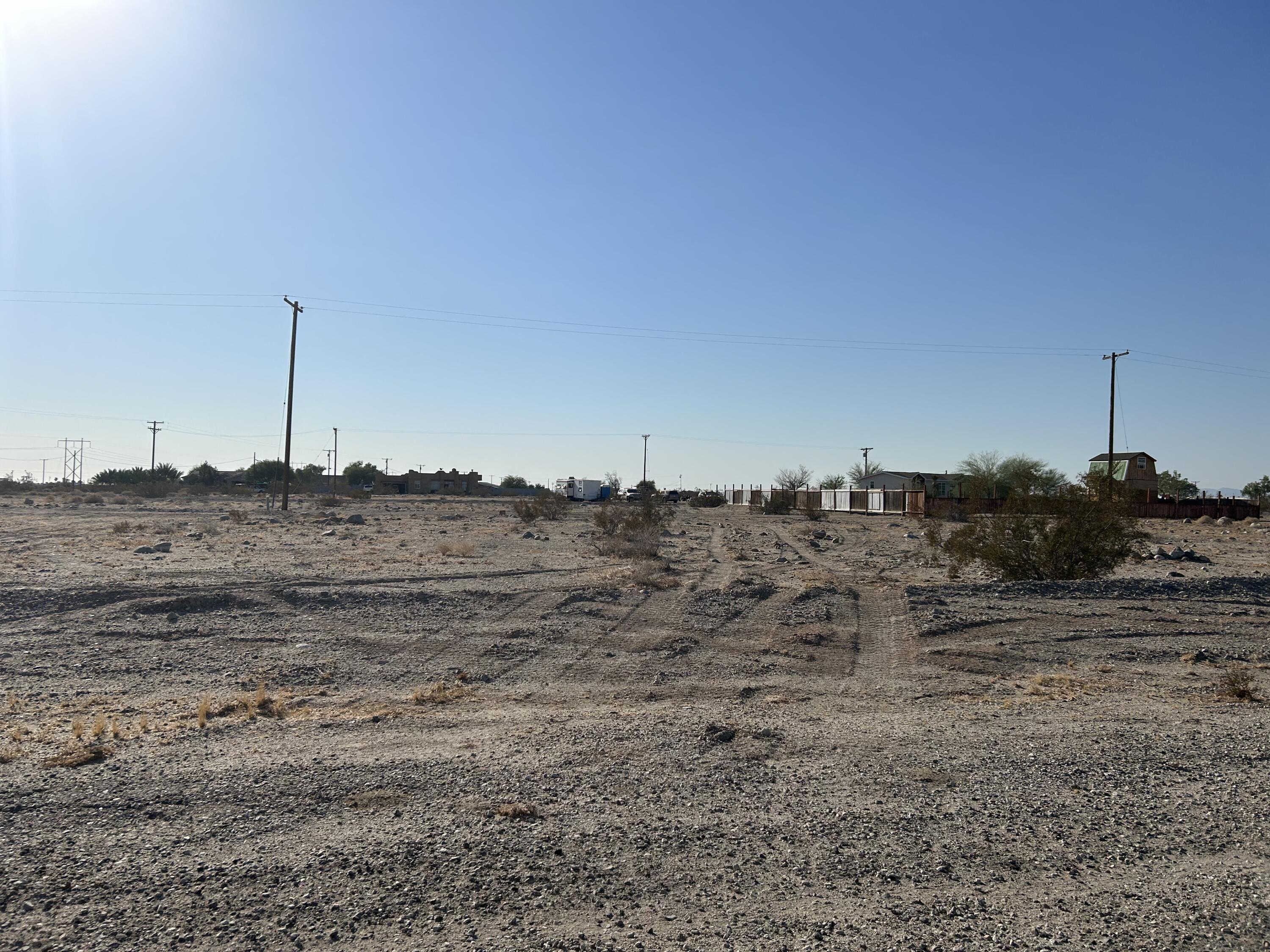 a view of a dry yard