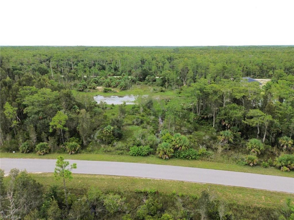 a view of a field with an trees