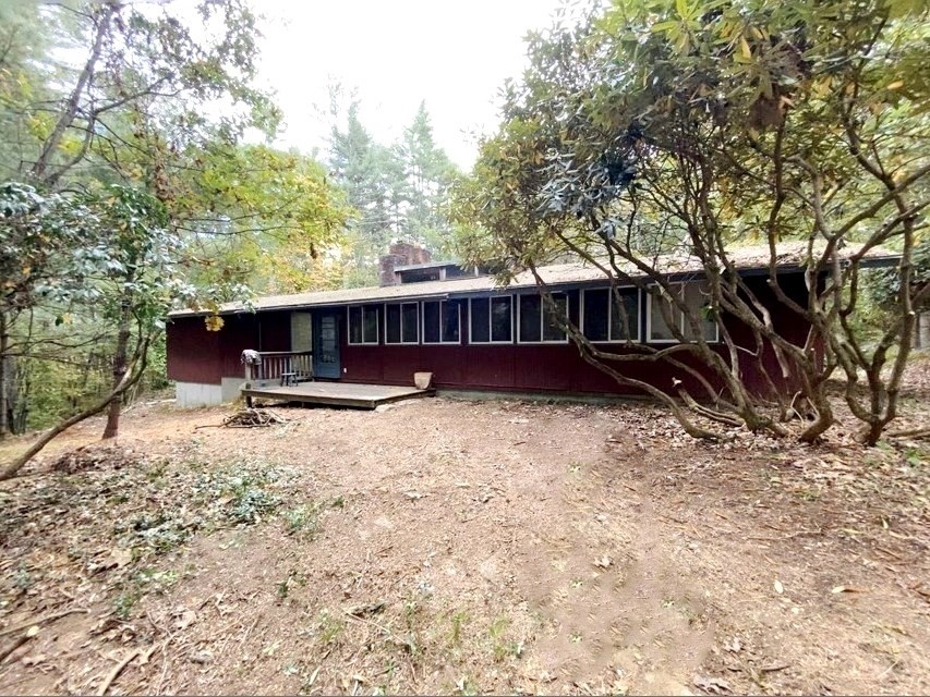 a view of backyard with a large tree