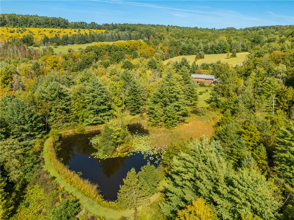 Nature's Paradise with Approx. 70 Acres & a stunni