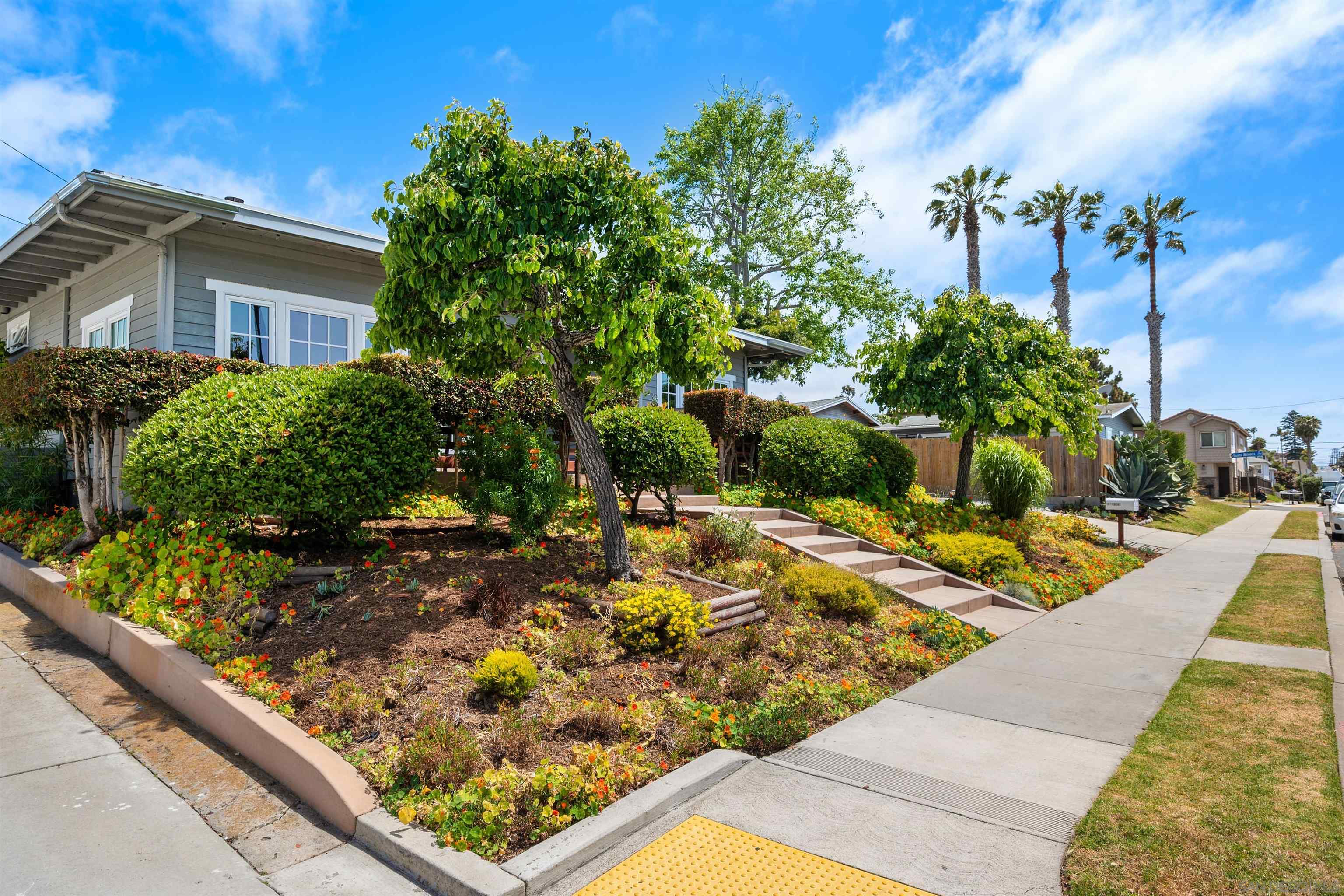 a view of a backyard with plants and a patio