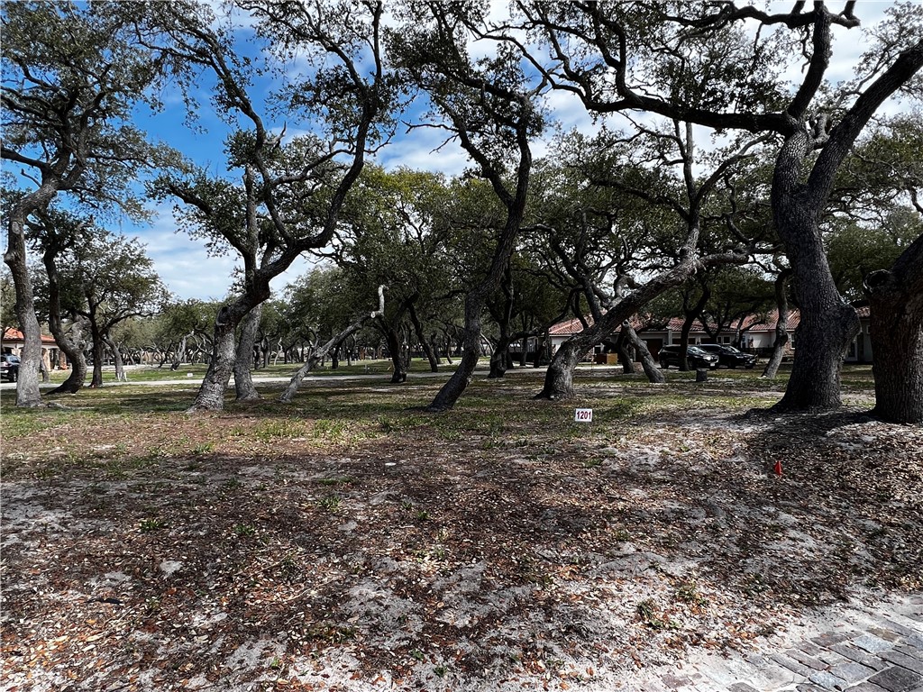 a view of outdoor space with trees