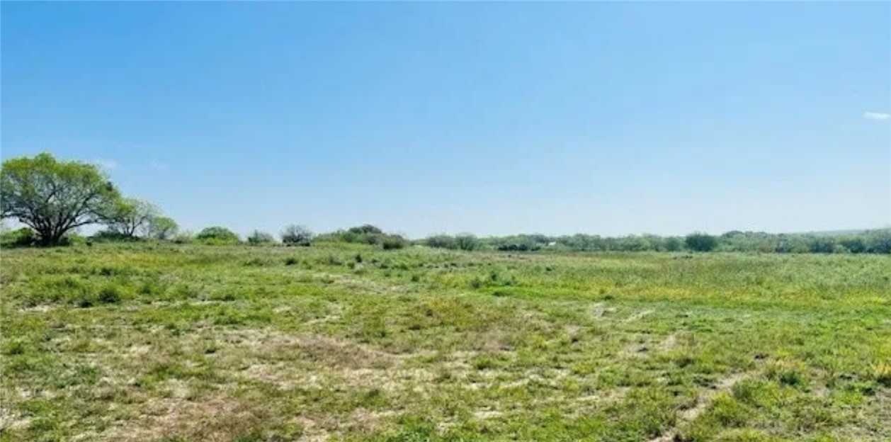 a view of a green field with lots of green space