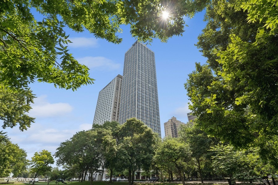 a view of a tall yard