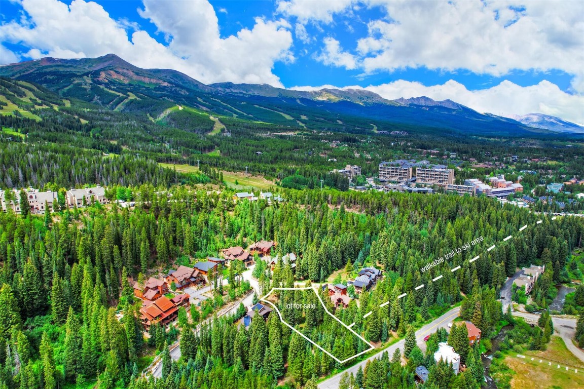 a view of a lush green hillside and a houses