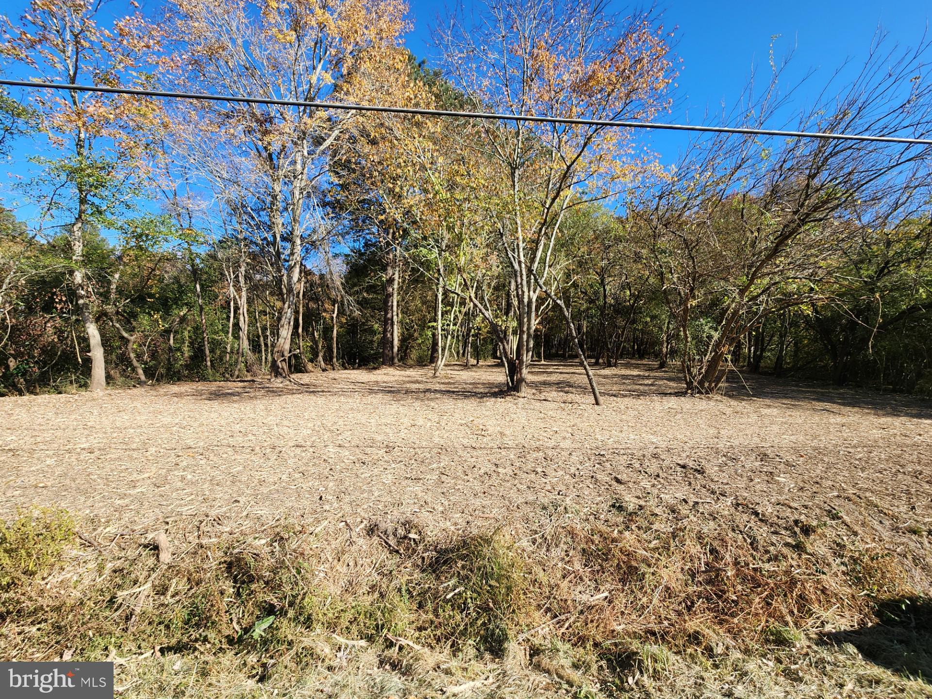 a view of a yard with a street