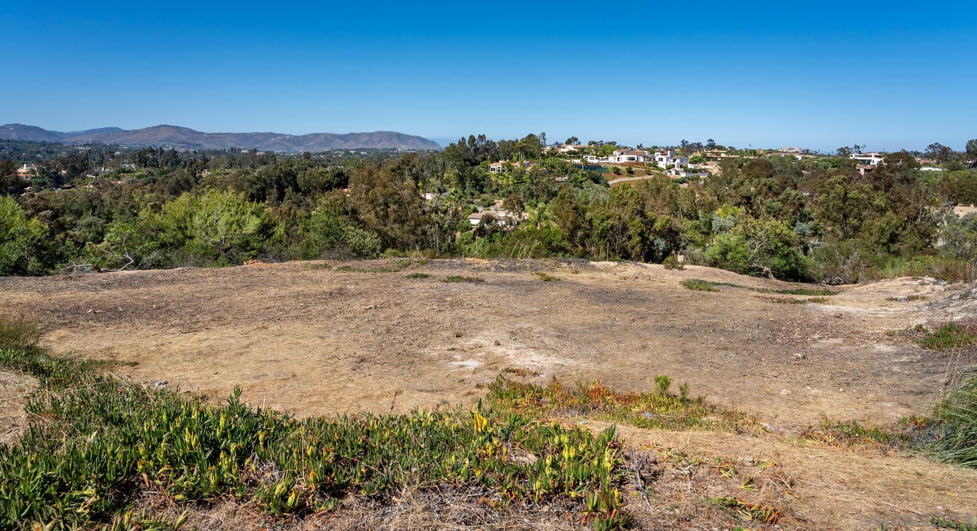 a view of a dry yard