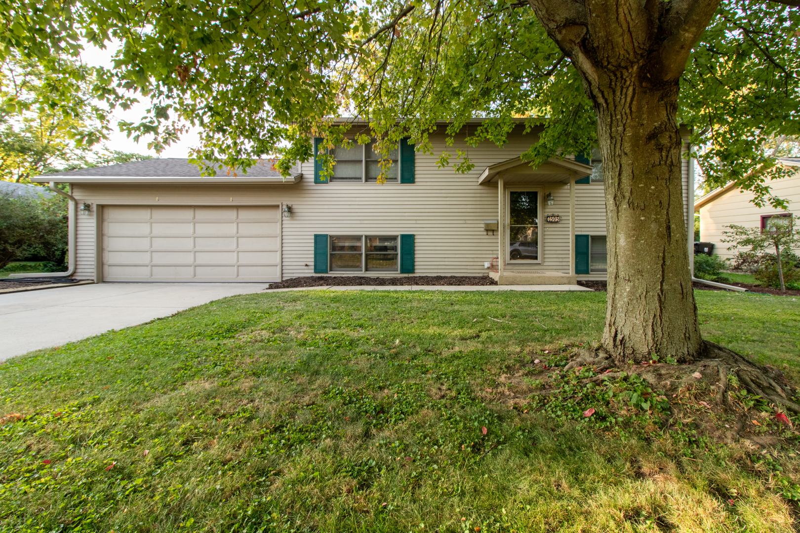 a large tree in front of a house with a yard