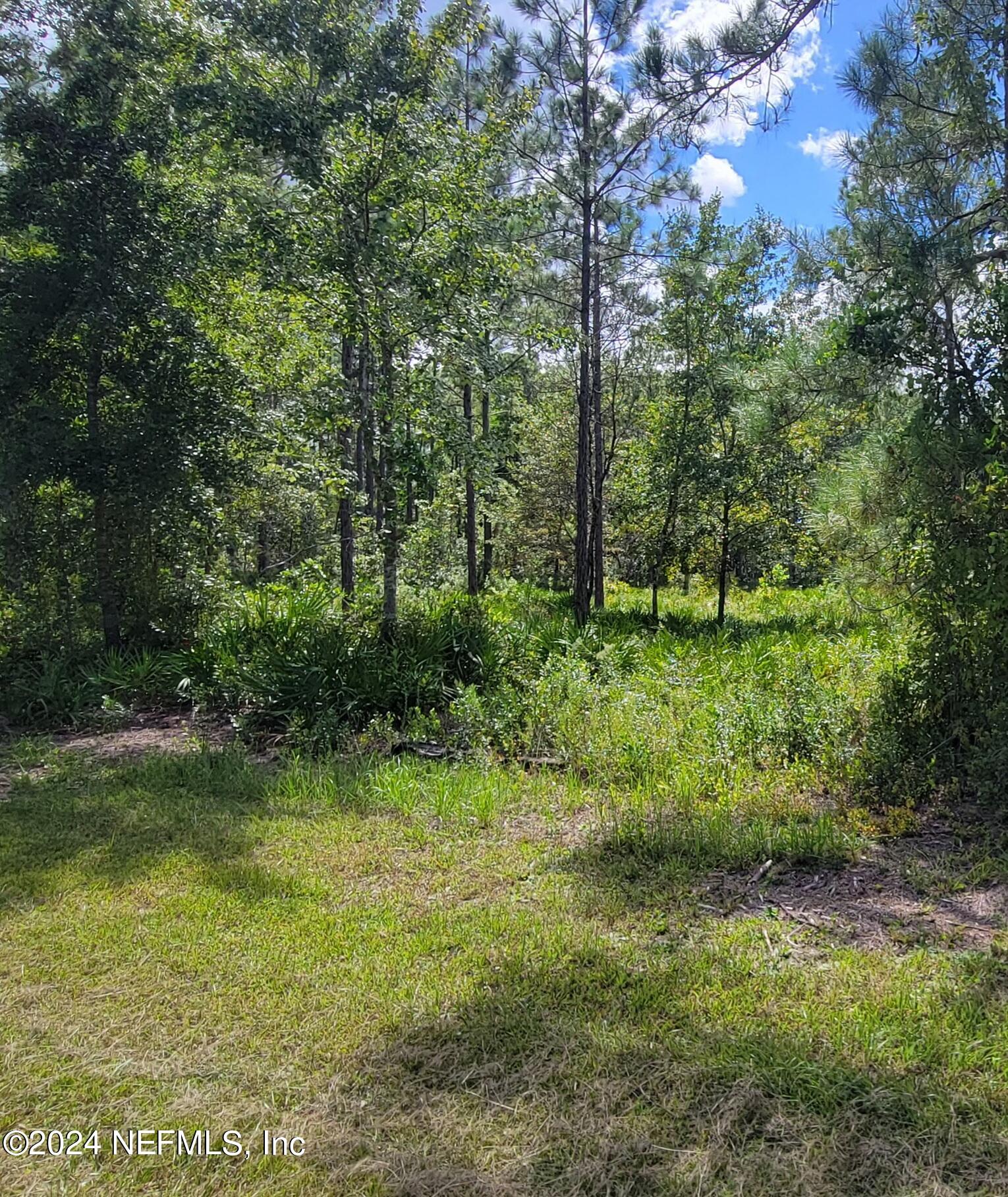 a big yard with lots of green space and deers