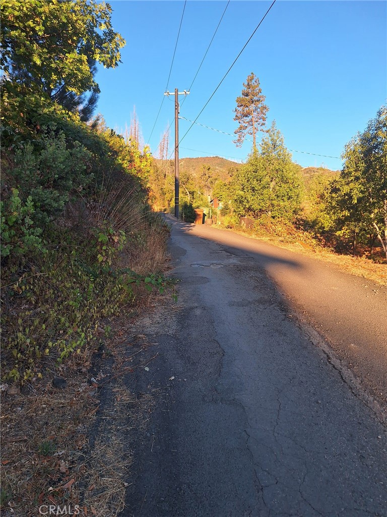 a view of a yard with a tree