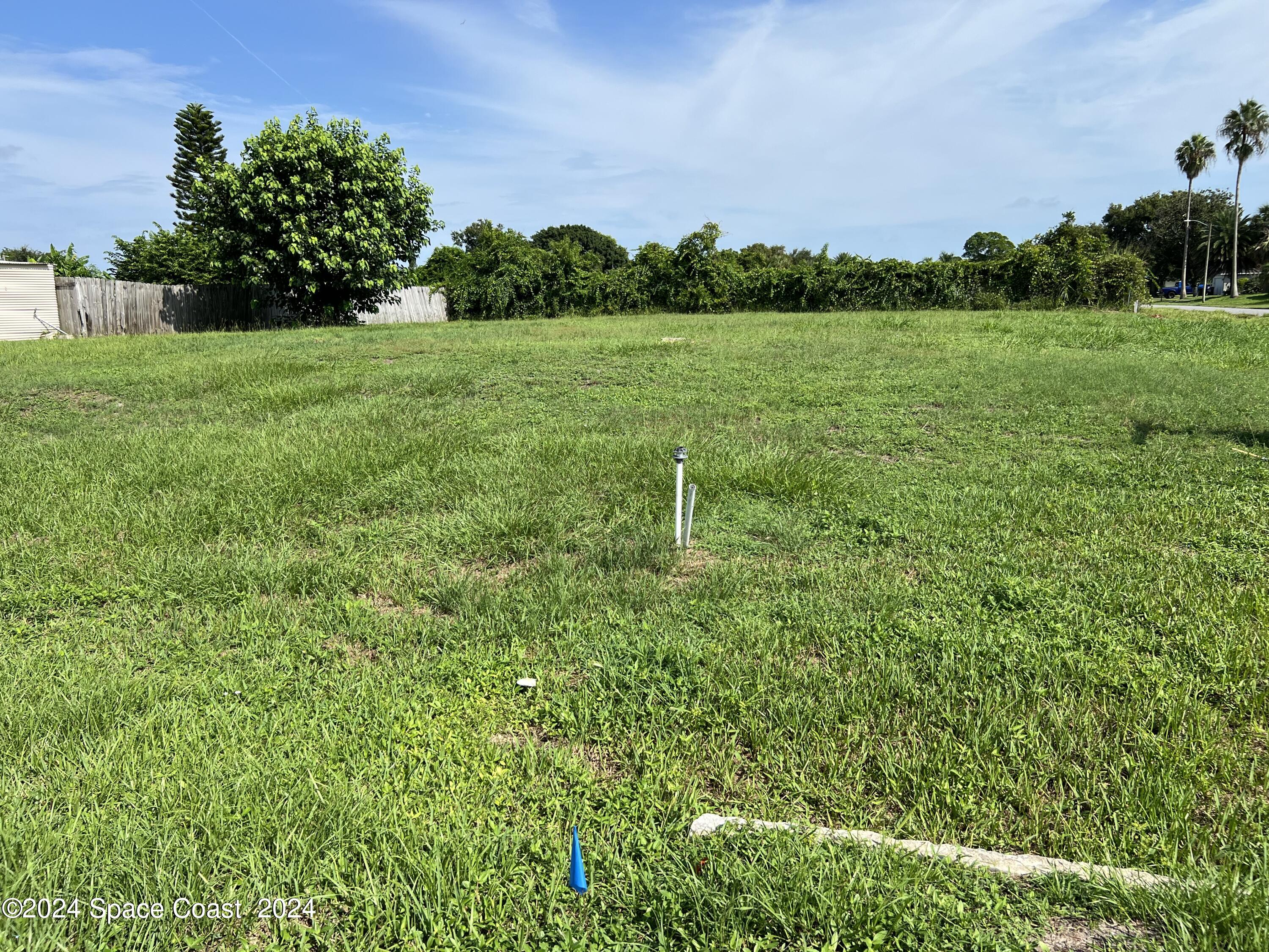 a view of a lush green space