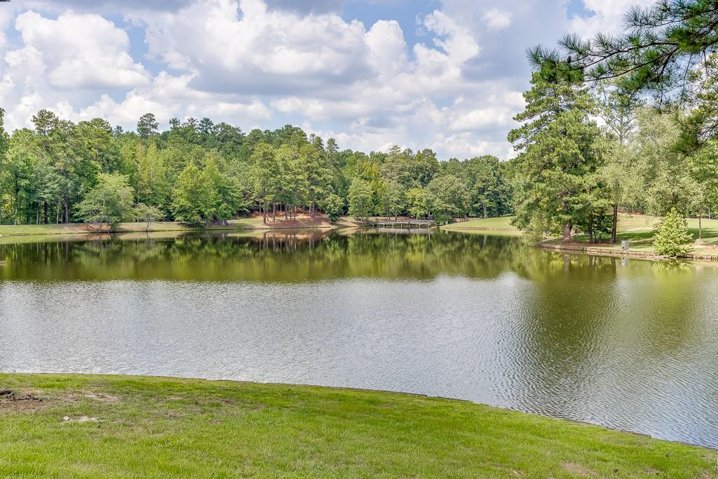 a view of a lake with houses in the back