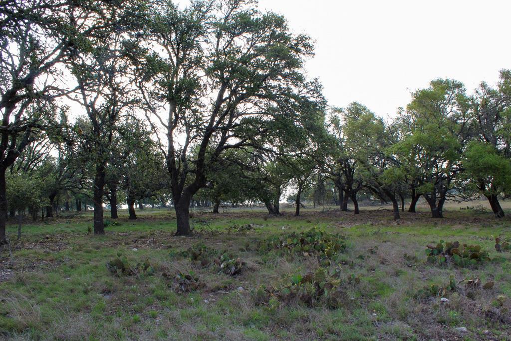 5 Apache Trace Northwest, Harper, TX 78631 | Compass