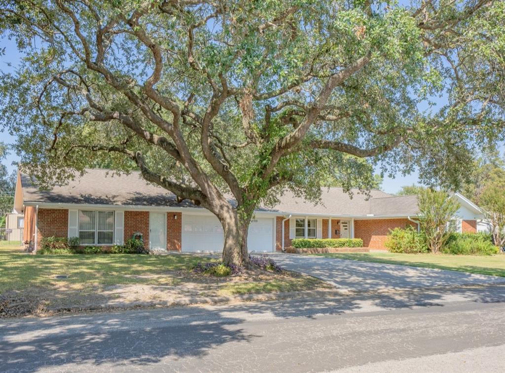 front view of a house with a tree