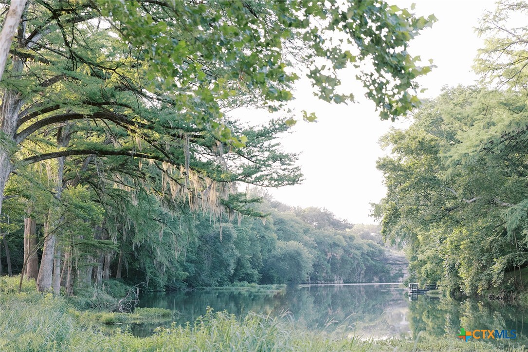 a view of a lake in between two of the trees