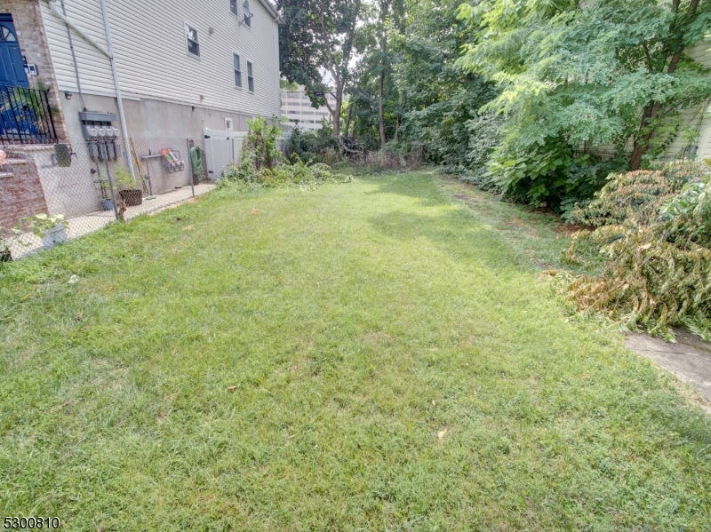 a view of a yard with trees