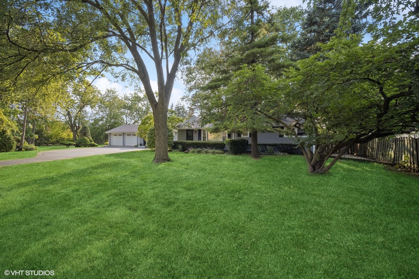 a view of a yard with a large tree