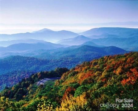 a view of mountain and tree