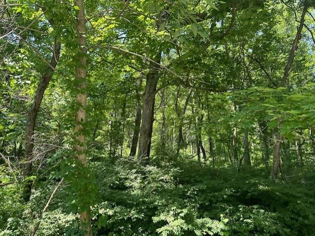 2 ACRE WOODED LOT