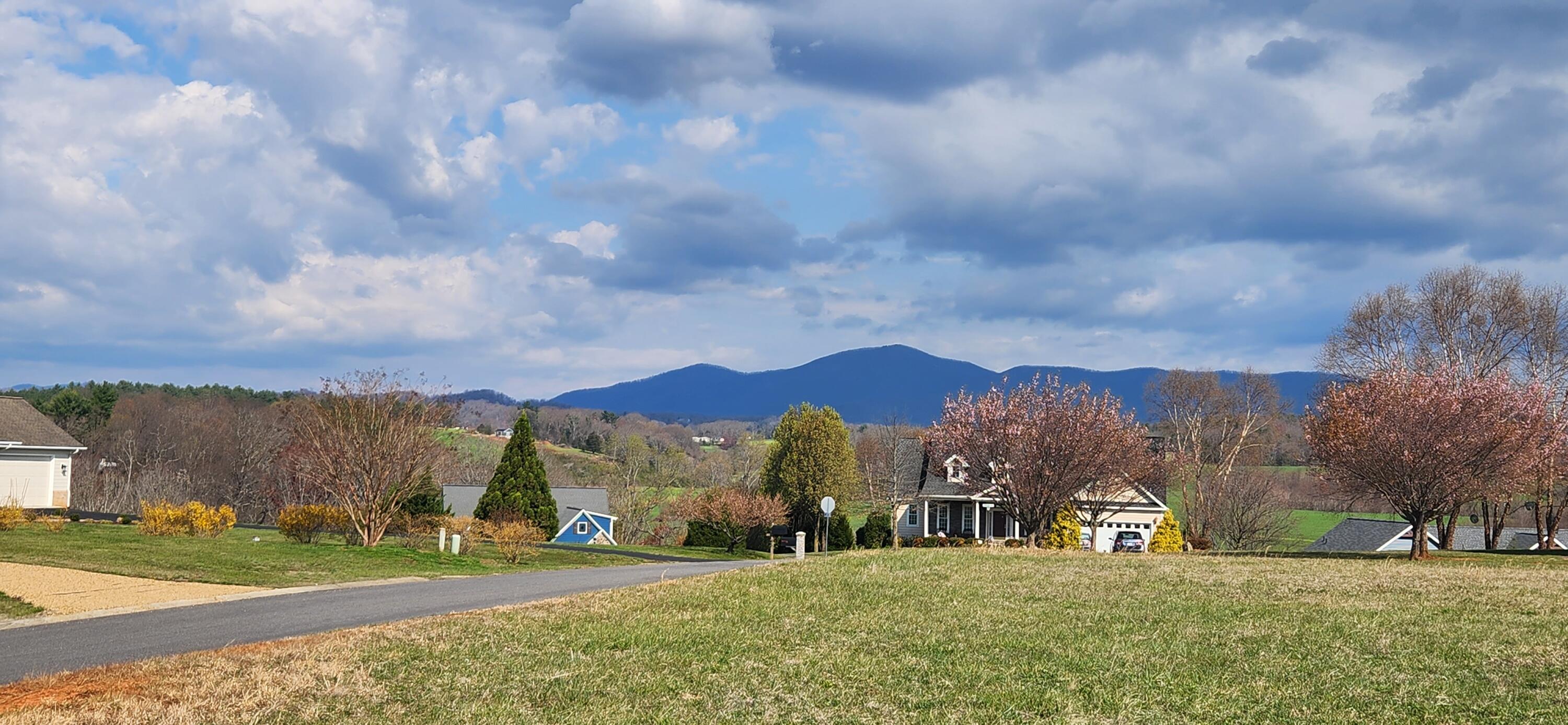 a view of a town with residential houses