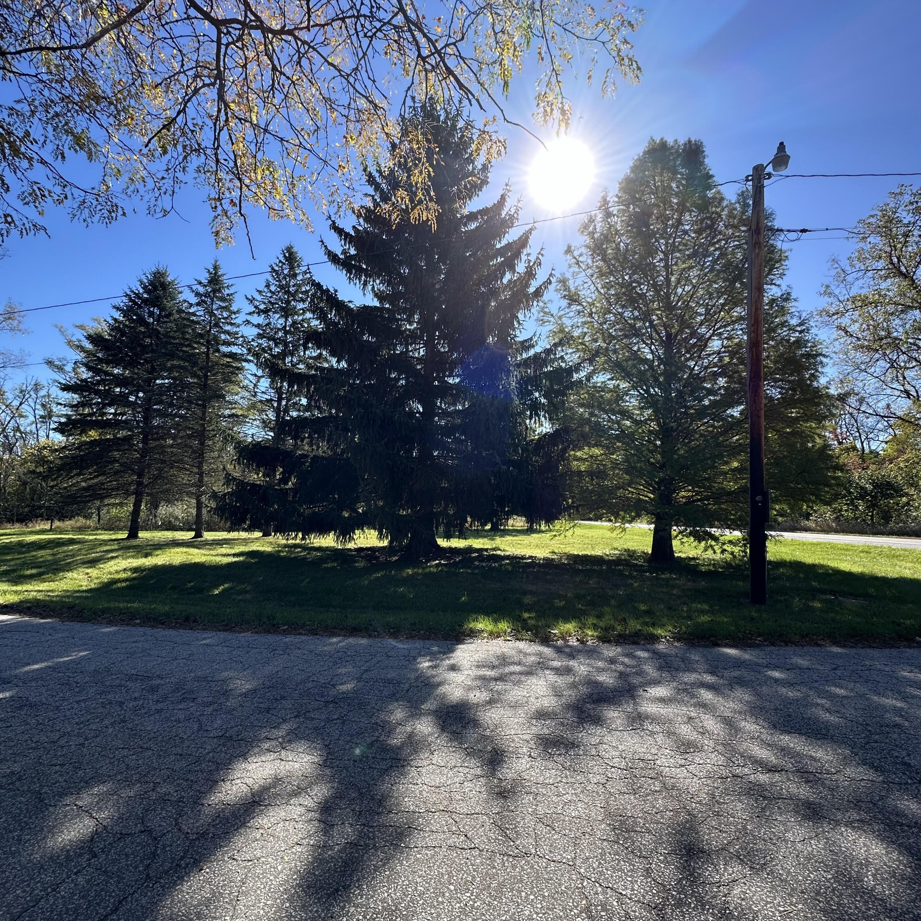 a view of a park