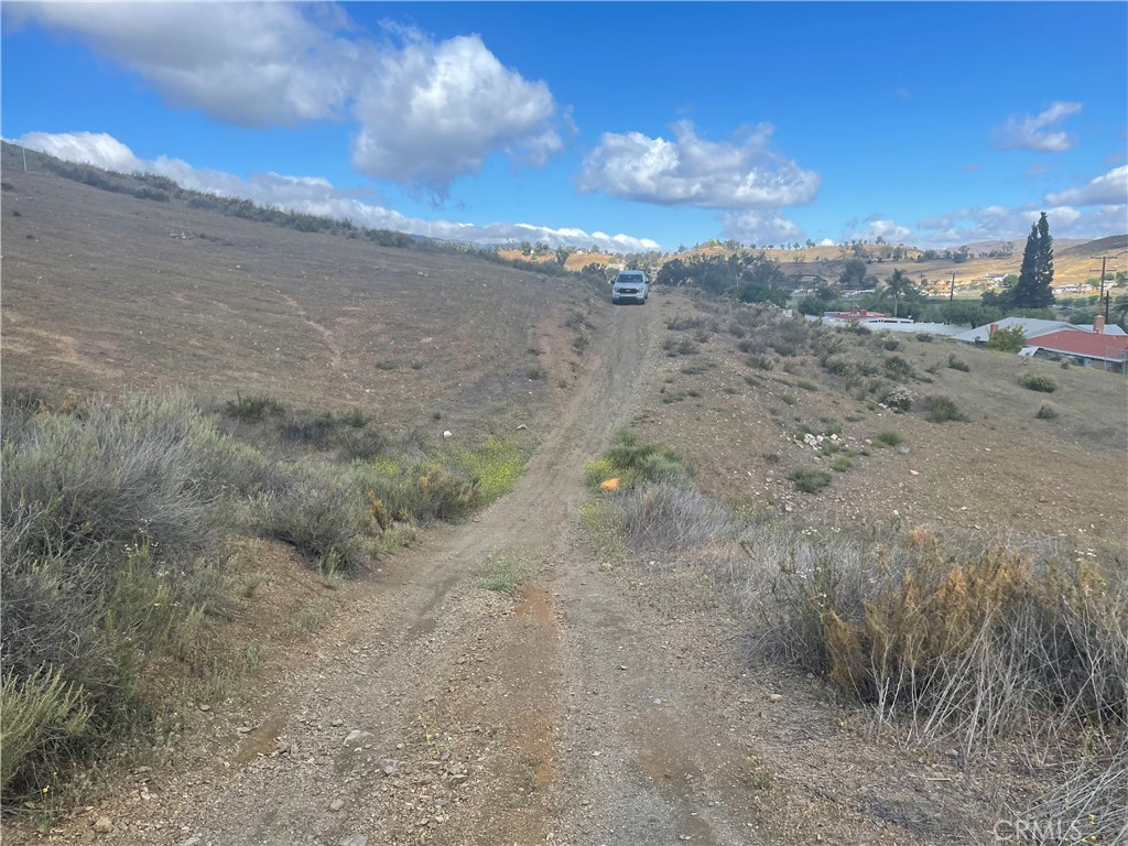 a view of a dry field with lots of trees in the background