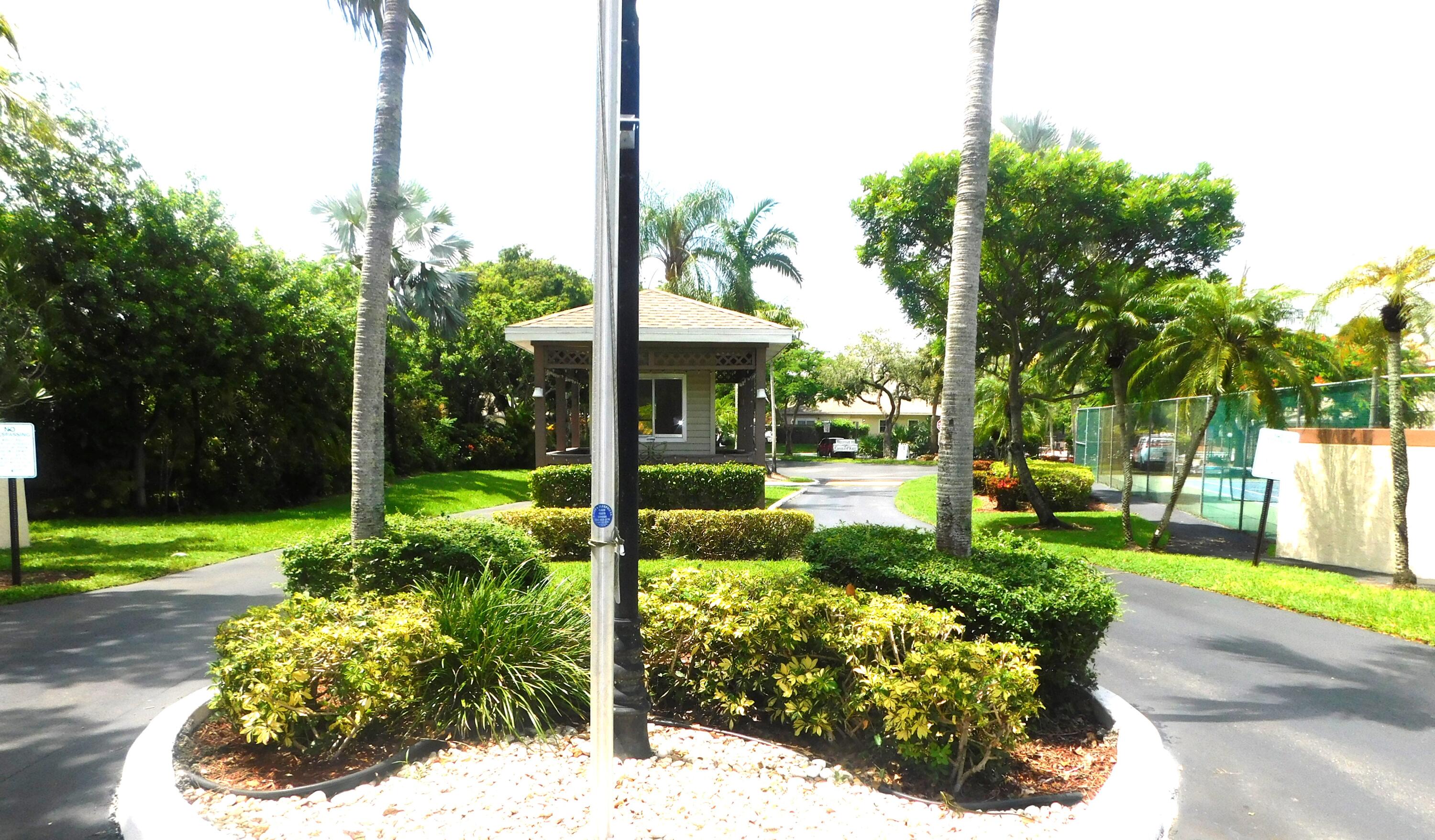 a view of a garden with potted plants