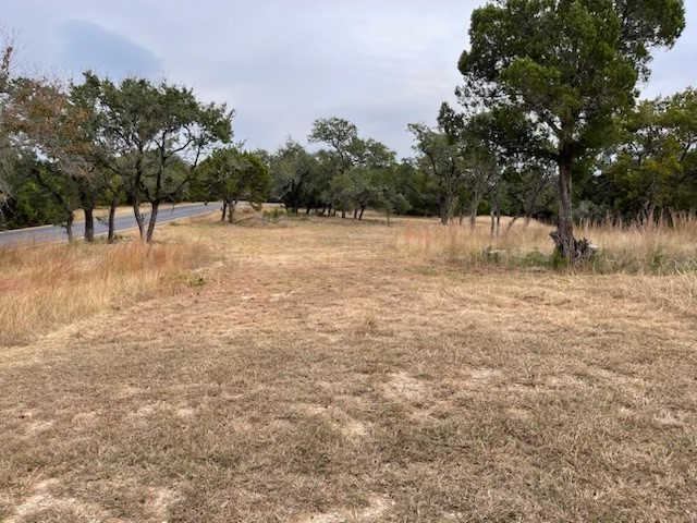 a view of backyard with tree