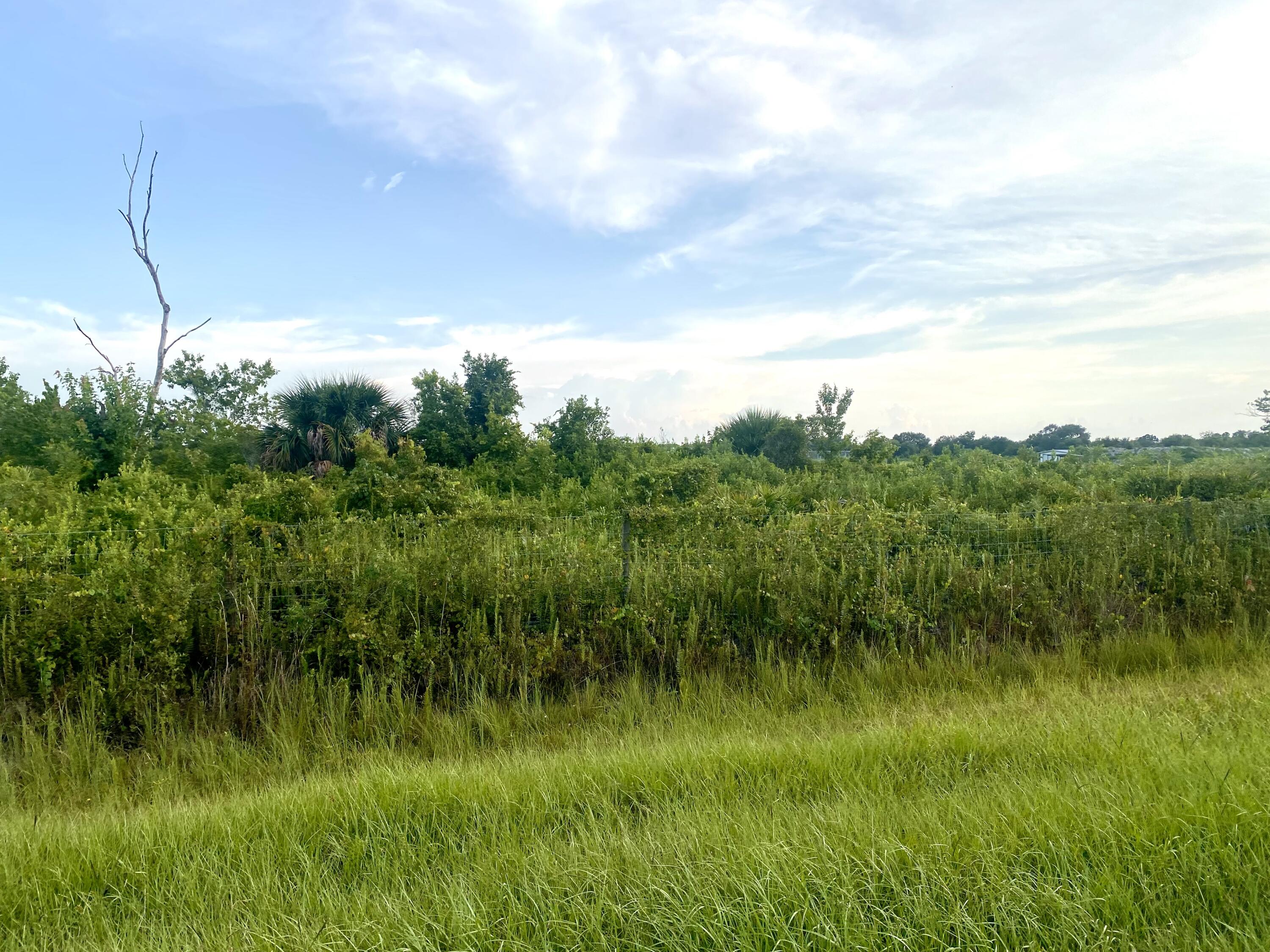 a view of a lush green space near a lake view