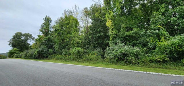 a view of a field with a trees