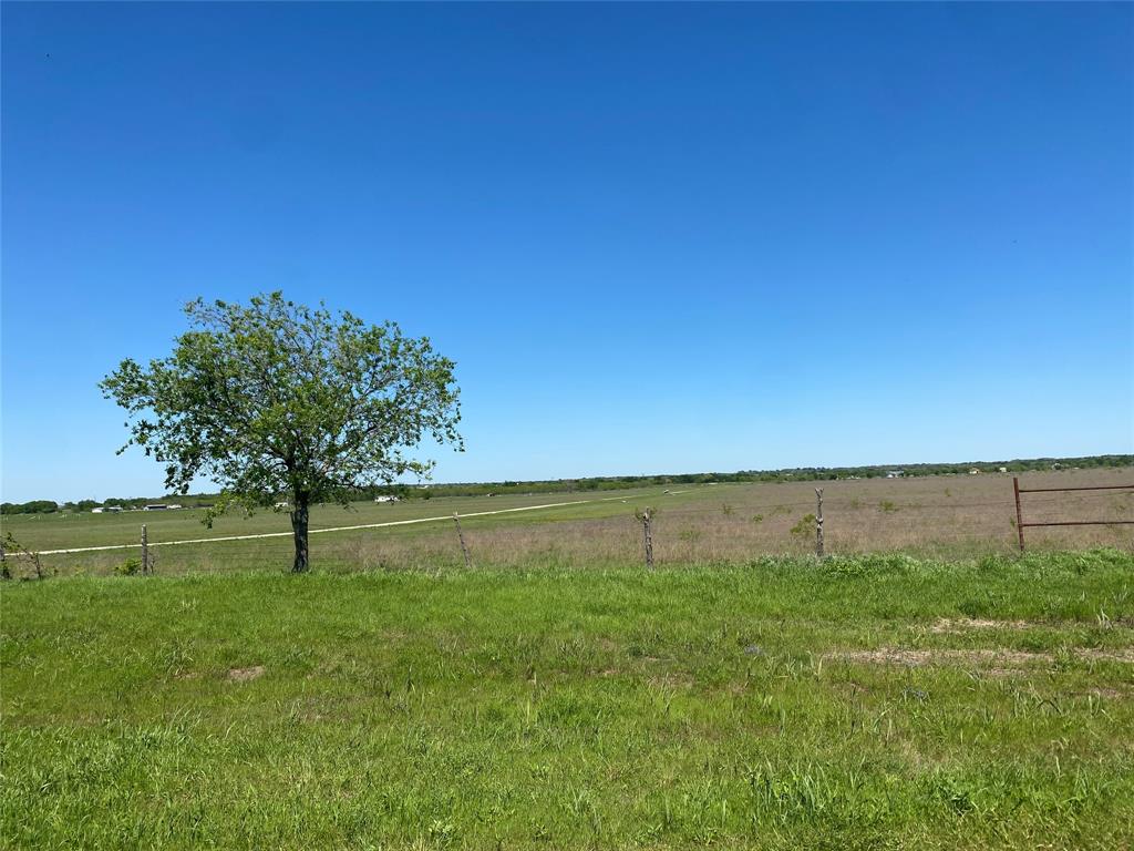 a view of outdoor space with green field and trees in the background