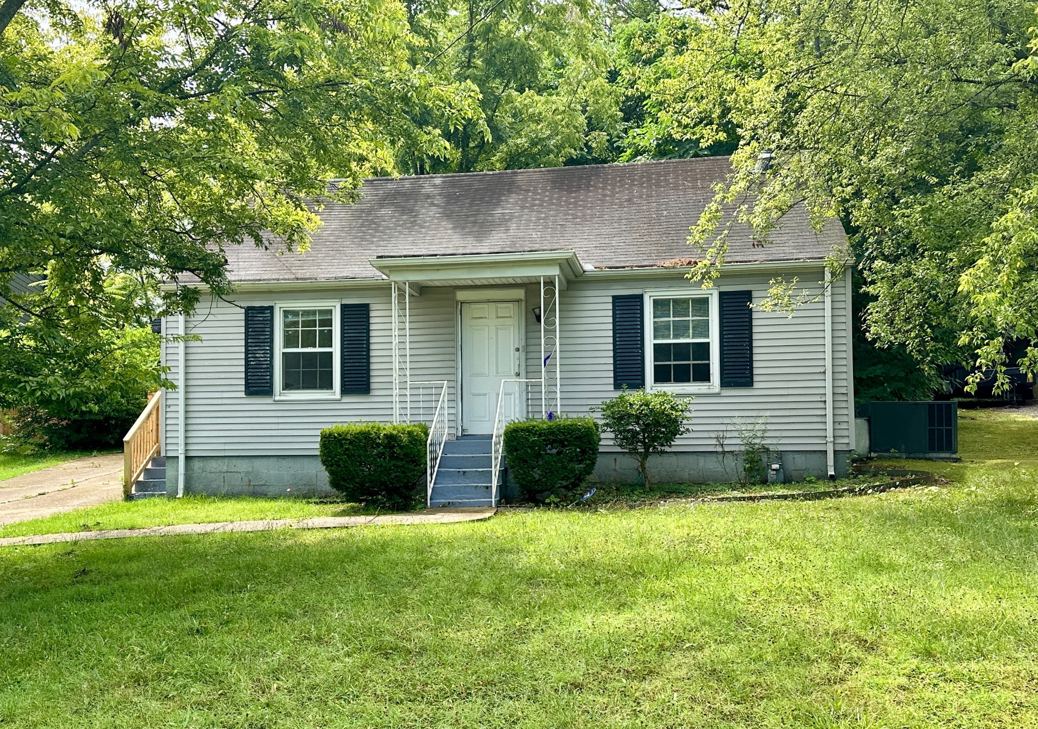 a view of a house with a yard and a large tree