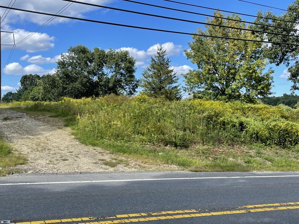 a view of a yard