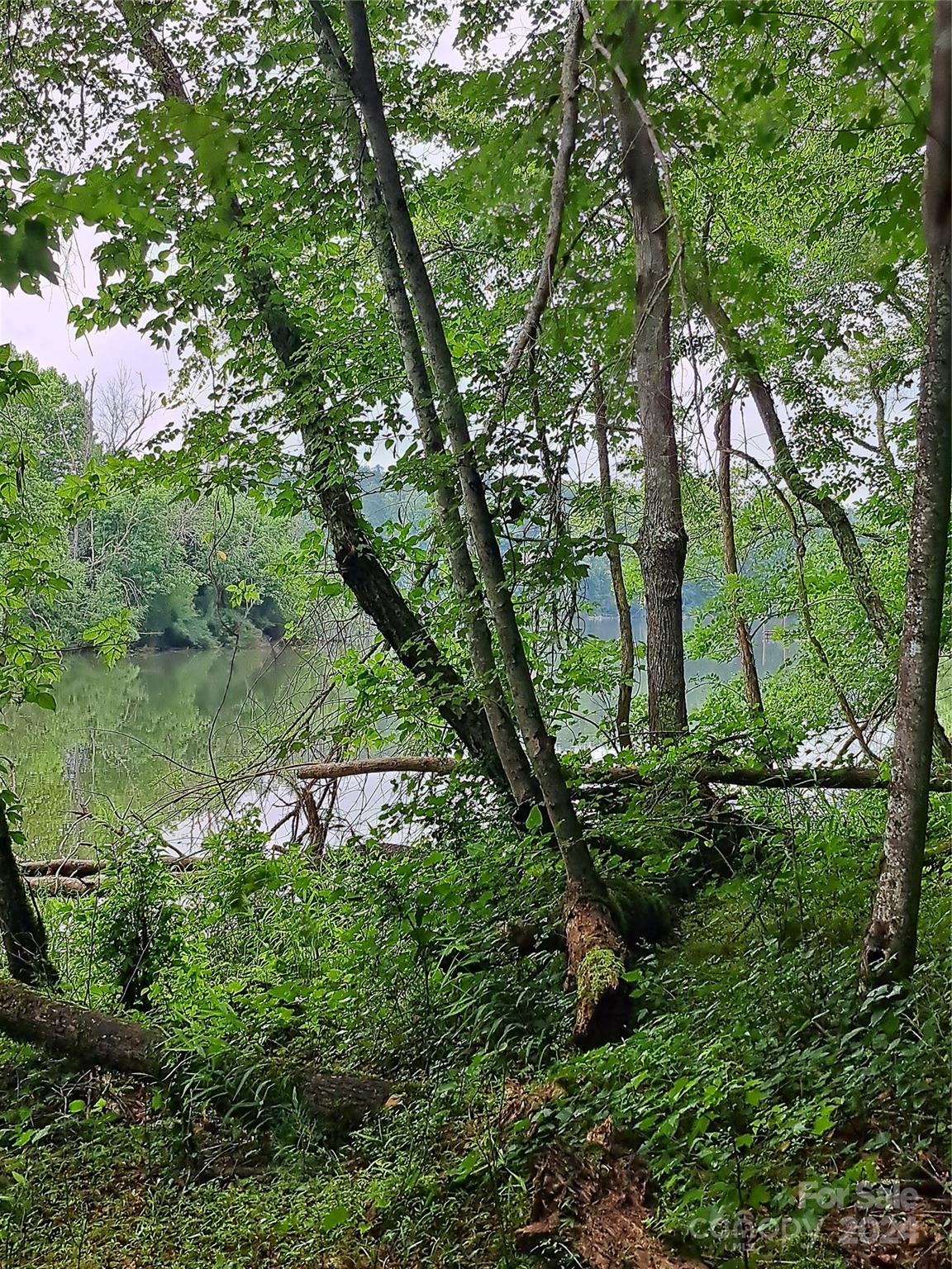 a view of a garden