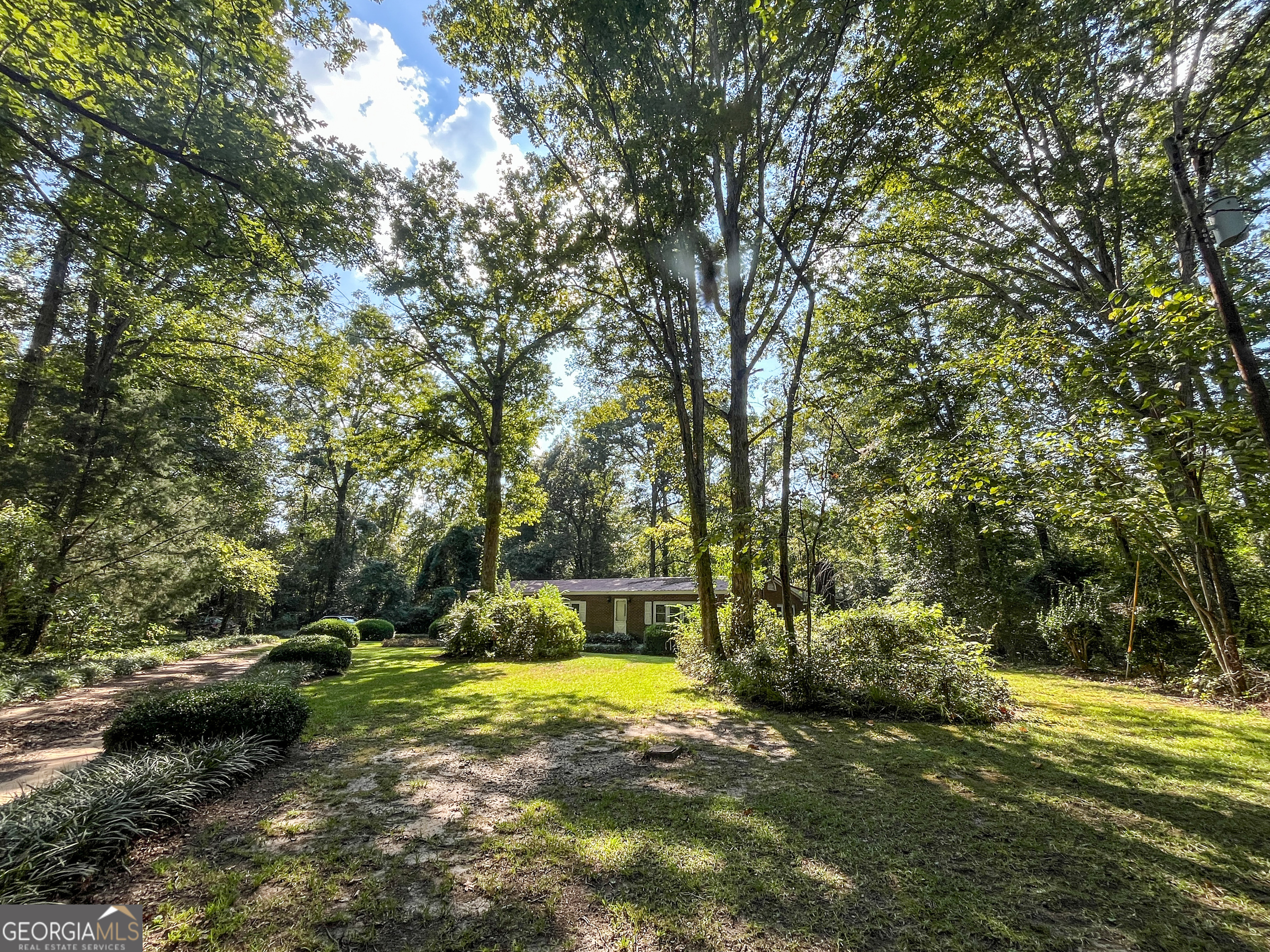 a view of a yard with a tree