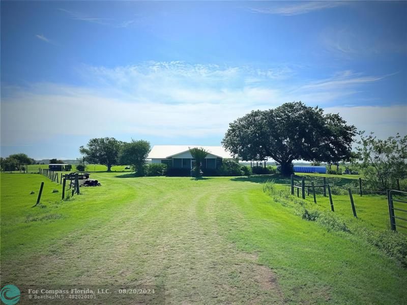 a green field with lots of trees in the background