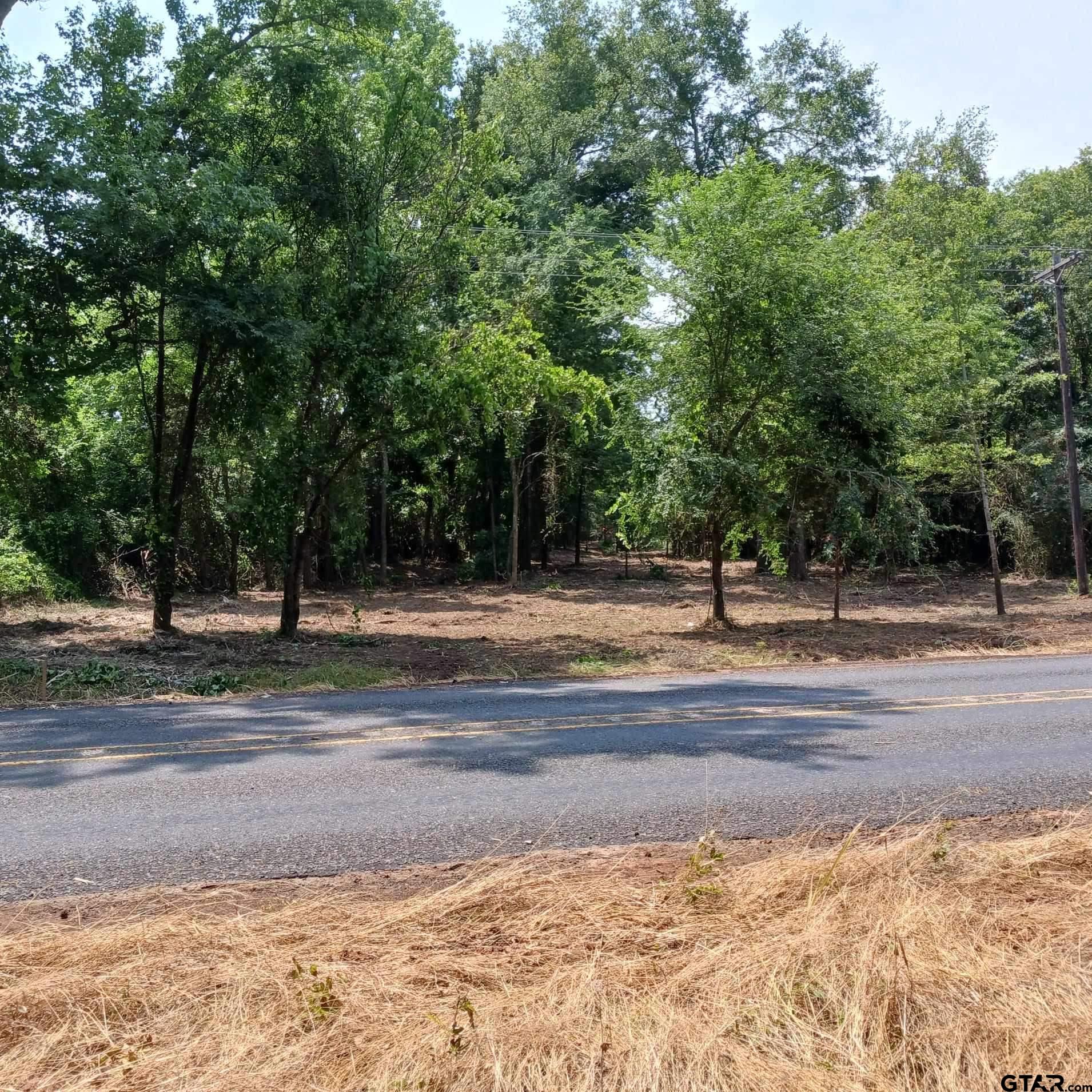 a view of a yard with a trees