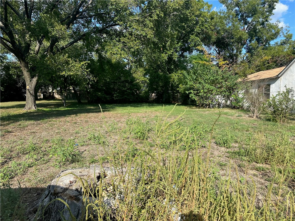 a view of backyard with green space