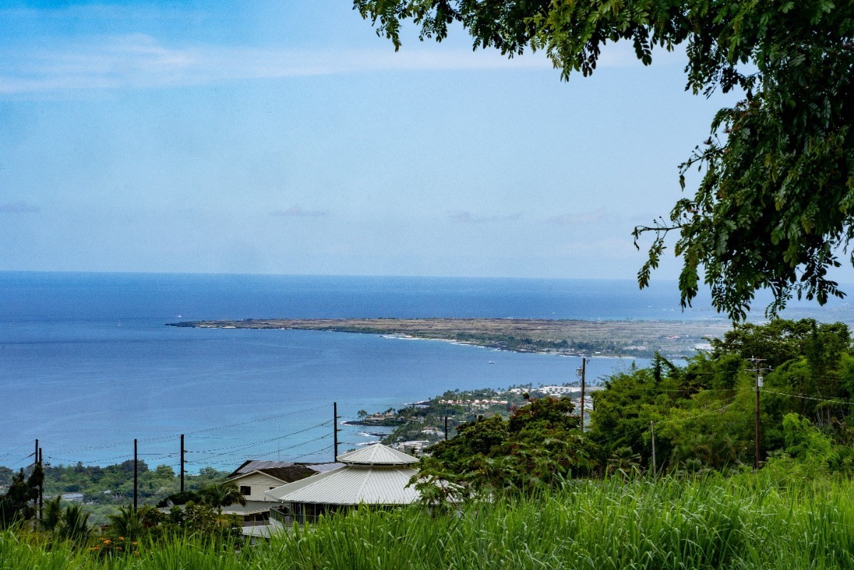 a view of a lake with houses in the back