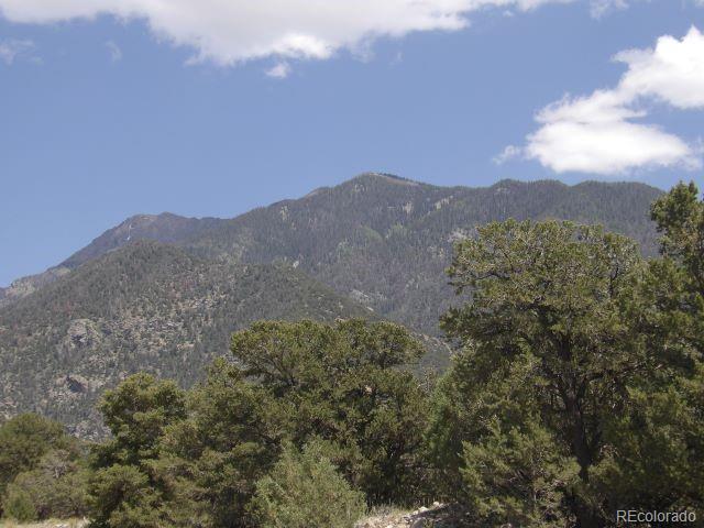 a view of a dry yard with mountains in the background