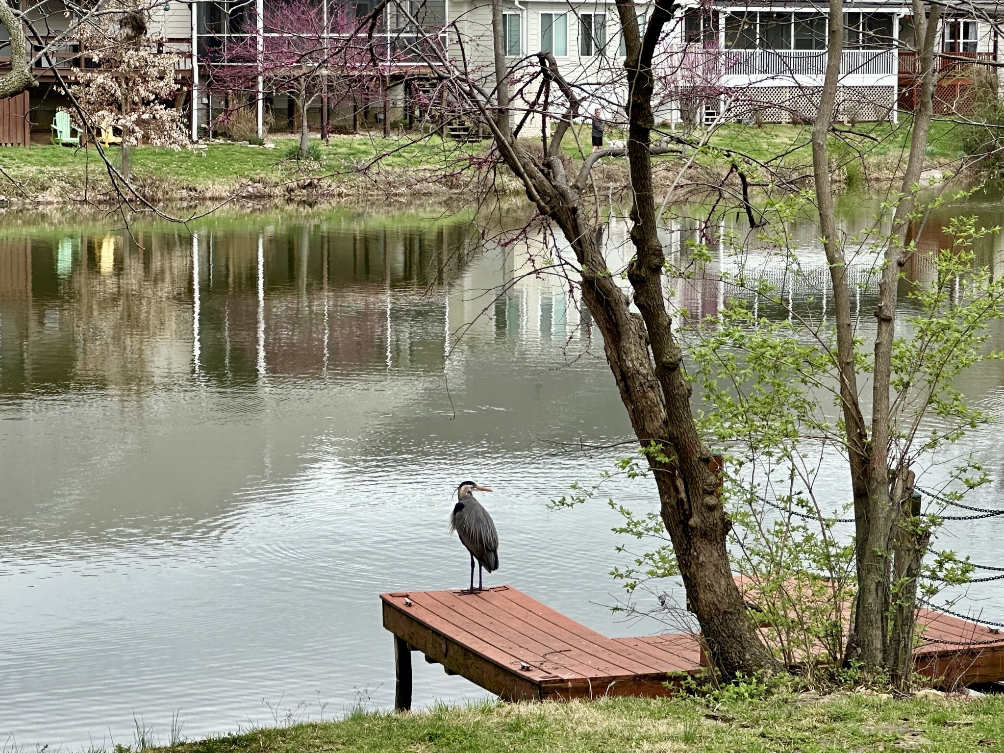 Coleman Lake