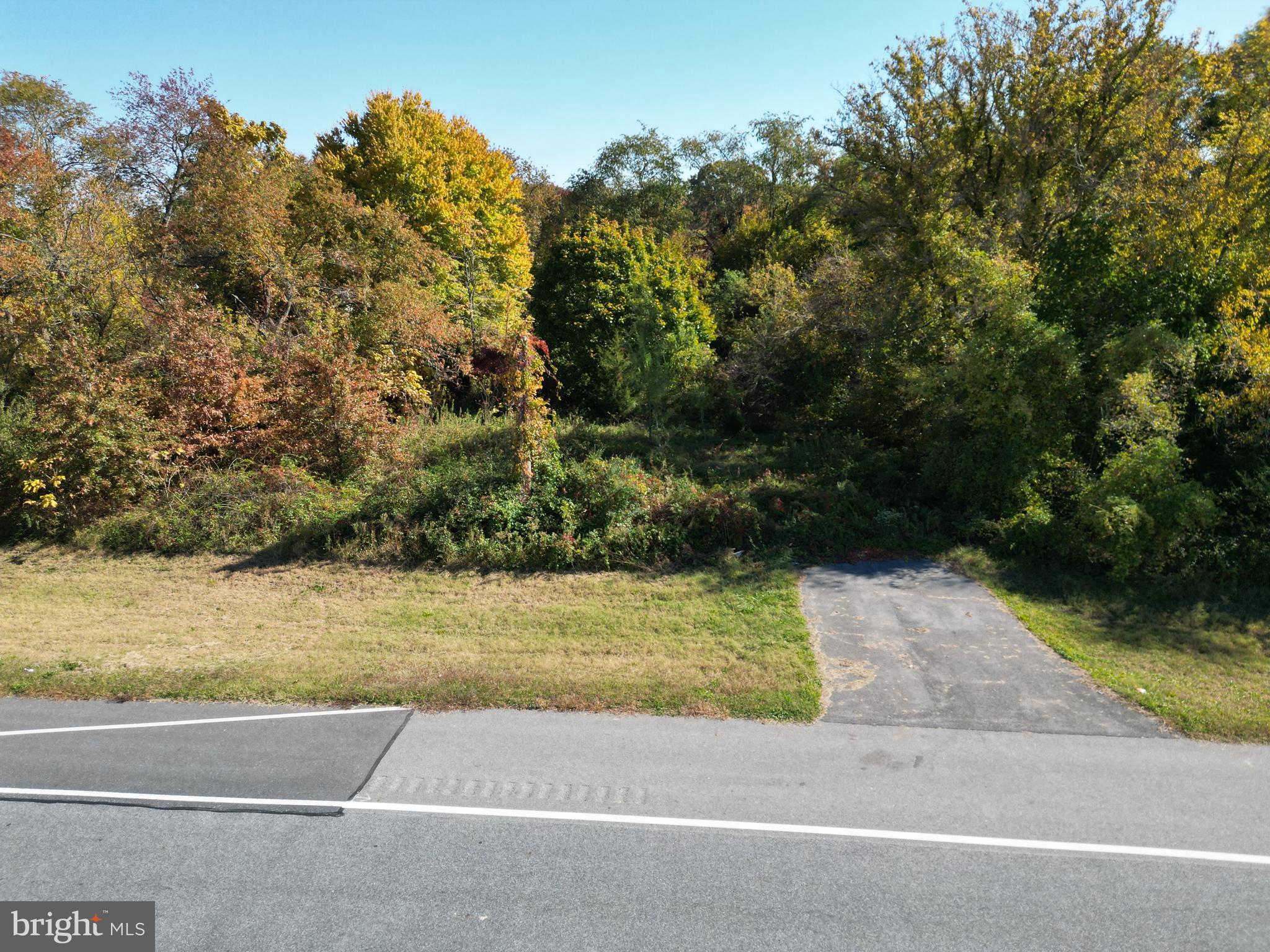 a view of yard with green space