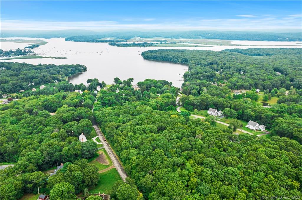 a view of a lake from a yard